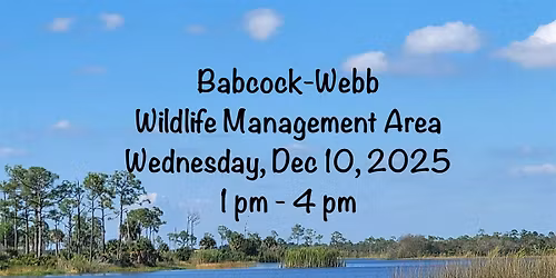 Painting & a Picnic at Babcock-Webb Wildlife Management Area