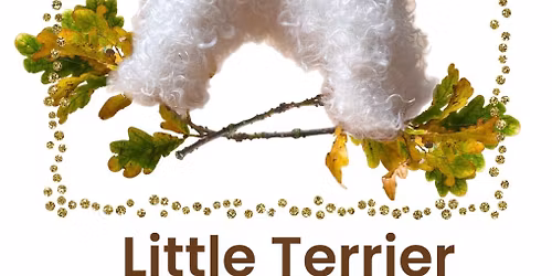 Little Terrier Felting Workshop