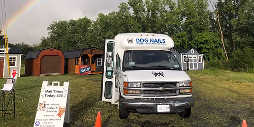 Glenville Dog Nail Pop UP- Wagtown grooming