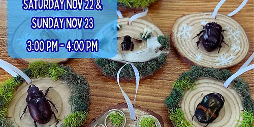 Bug Ornament Making Workshop - Nov 2025