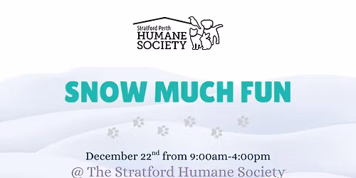 Snow Much Fun - Stratford Humane Society