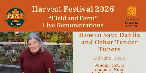 Harvest Festival Live Demonstration - How to Save Dahlia and Other Tender Tubers with Chris Ferrero