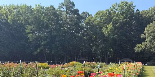 \ud83d\udc90Season Opening U pick Flower Field\ud83d\udc90