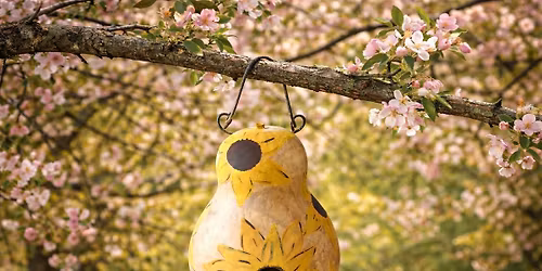 Sip N Paint @ Hoagies Paint a Gourd Birdhouse!