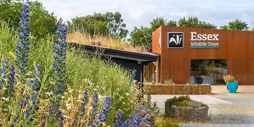 Langdon Christmas Market