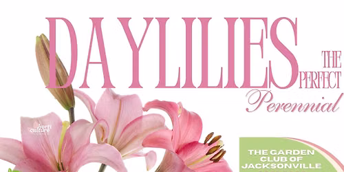 Daylilies: The Perfect Perennial
