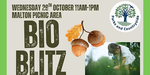Malton Picnic Area Bioblitz