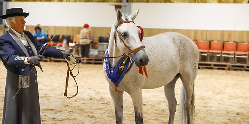 APHS Invicta Show 2026