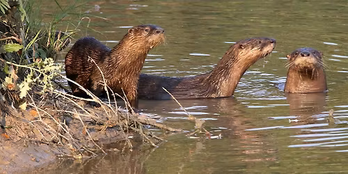 Hike with Jeff Vogelpohl (The Otter Whisperer)