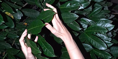 Re-Imagining the City - a night walk with artist Ruby Wallis