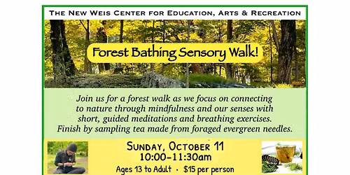 Forest Bathing Sensory Walk & Foraged Tea