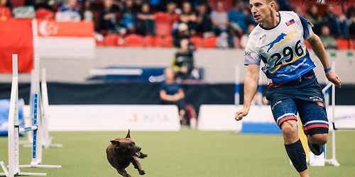 Letn\u00fd agility t\u00e1bor s Ren\u00e1tou a Pierrom Millan 