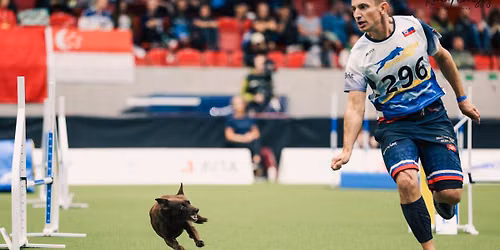 Letn\u00fd agility t\u00e1bor s Ren\u00e1tou a Pierrom Millan