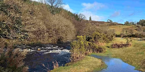 Wellbeing Walk & Sauna