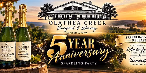 5 Year Anniversary Sparkling Party