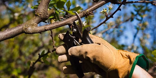 How to Prune with Confidence