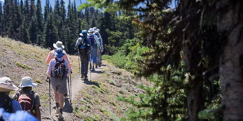 June Wildflower Walks