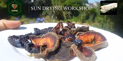 Sun Drying Workshop unique, zero waste