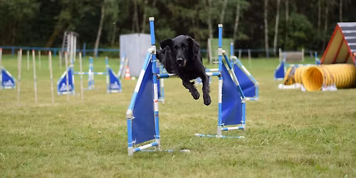 SKOKOV\u00c1 GYMNASTIKA s Eli\u0161kou Doln\u00ed\u010dkovou