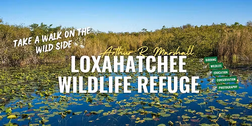 Birding Arthur R. Marshall Loxahatchee NWR with Kar DeGeiso