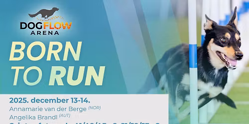 Born to Run 2025