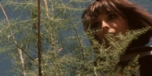 Richard Beymer\u2019s THE INNERVIEW (1973) with film preservationist Ross Lipman