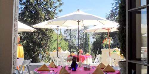 Summer Luncheons at Montalvo Arts Center