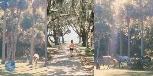Cumberland Island & Dungeness Ruins