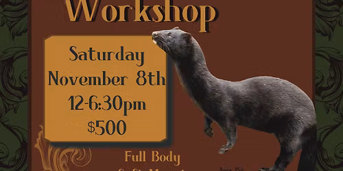 Wild Mink Taxidermy Workshops