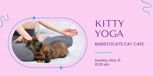 May Kitty Yoga