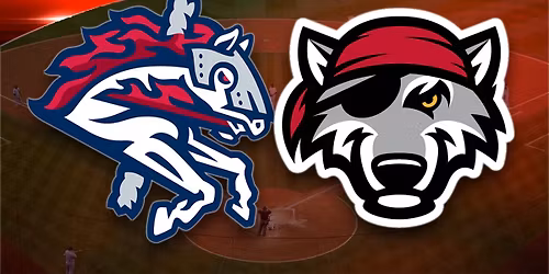 Erie SeaWolves at Binghamton Rumble Ponies