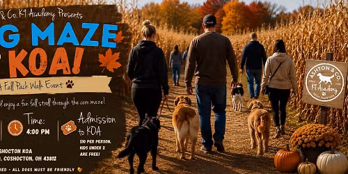 Dog Maze at KOA! 