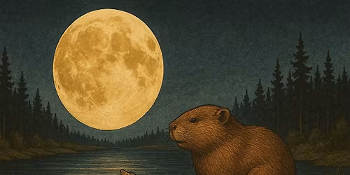 Beaver Full Moon Sound Bath Sessions