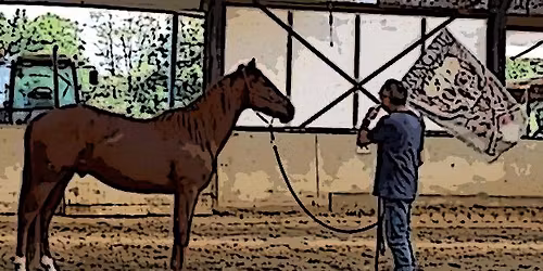 Lezing over Schrik & Training