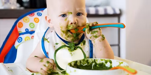 First Tastes Solids Group