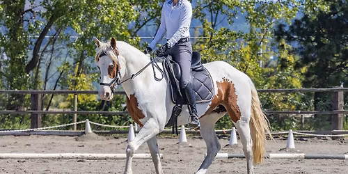 Dressage Schooling Show