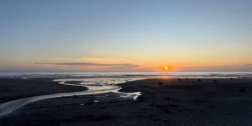 Here Comes the Sun: Junior Ecologists (ages 6-9)