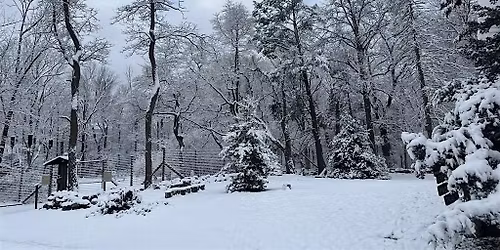 Winter Solstice at Lorrimer Sanctuary
