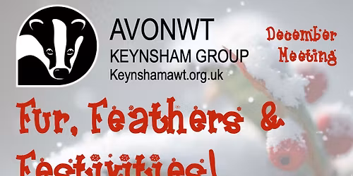 The Avon Gorge & Downs Wildlife Project