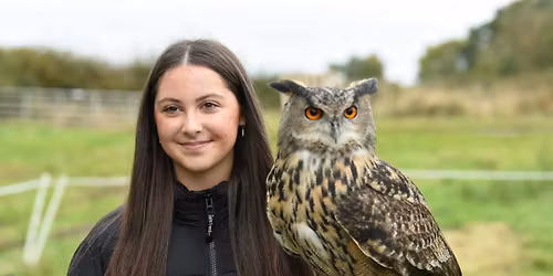Falconry School