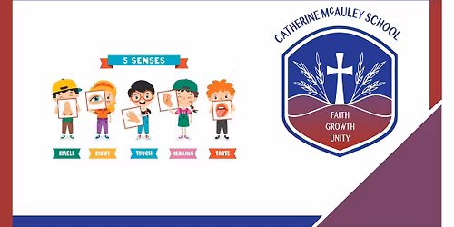 Mini Macs Pop-Up - My 5 Senses