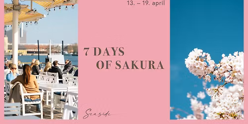 7 Days of Sakura