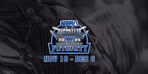 2025 NCHA Metallic Cat World Championship Futurity