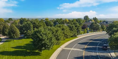 Arbor Day Tree Pickup 