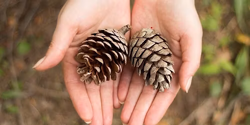 Weekend Wellness: Winter Mindful  Walk and Craft at Sevenoaks