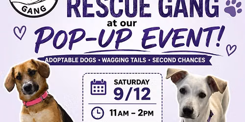 Rescue Gang Adoption Pop Up @ Bark N Scratch