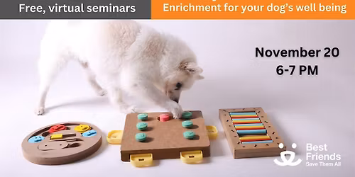 Dog Behavior Seminar Series:  Enrichment for your dog's wellbeing
