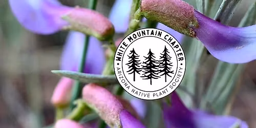 Native Plant Walk