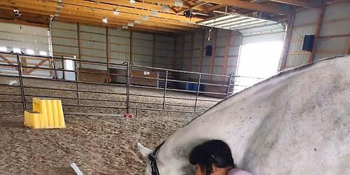 Horse Powered Math June 29th- July 2nd