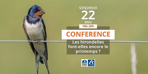Les hirondelles font-elles encore le printemps ?
